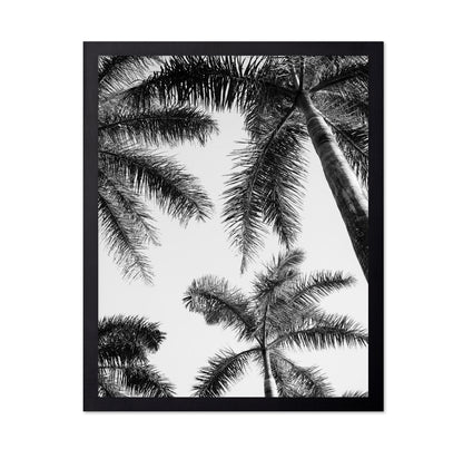 Palm Sky View No1