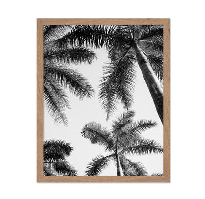 Palm Sky View No1