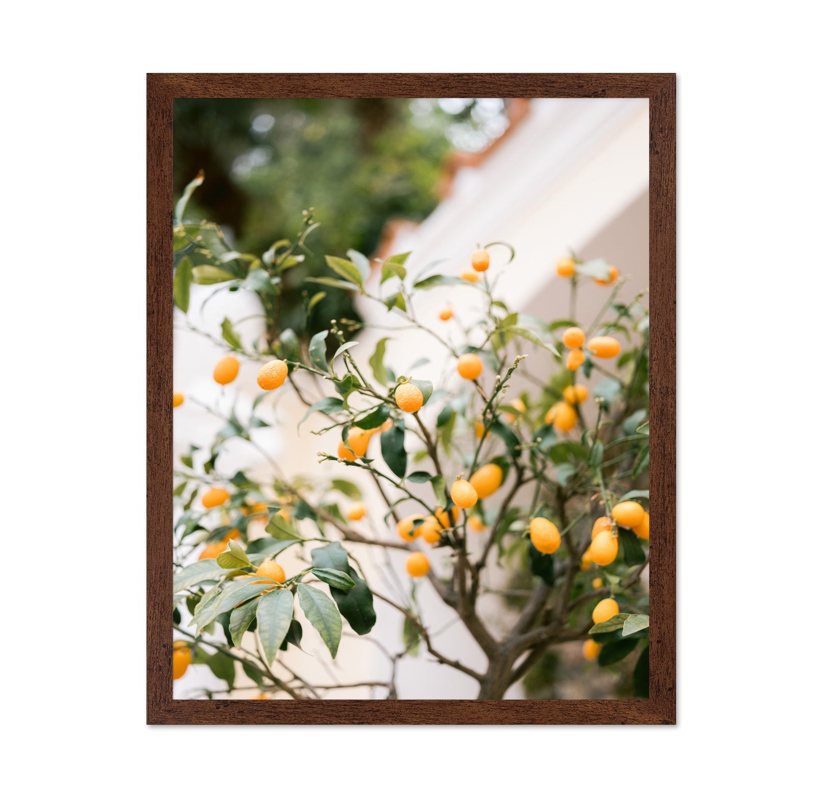 Citrus Garden Glow