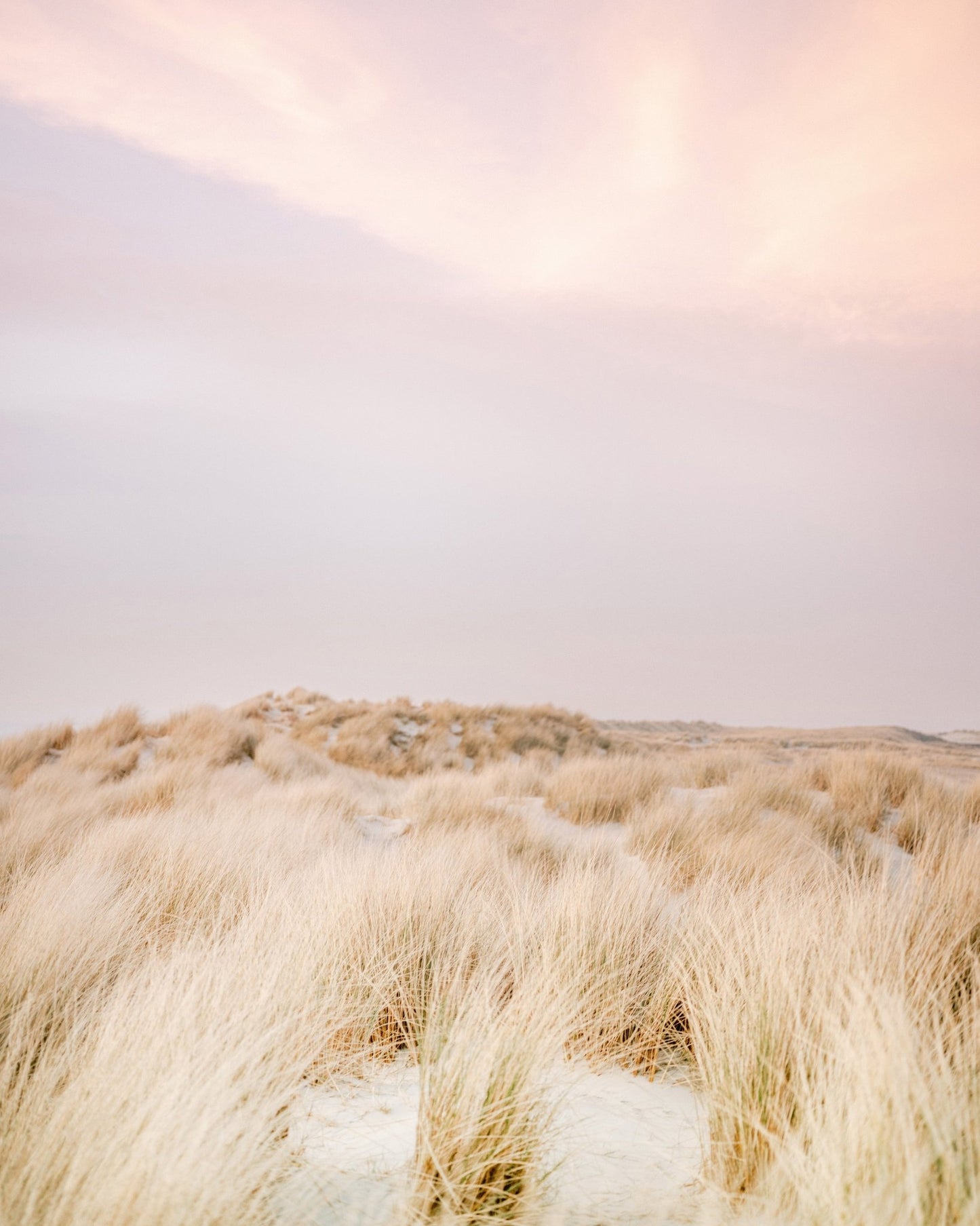 Soft Sand Dunes No1