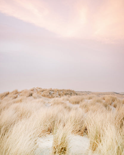 Soft Sand Dunes No1