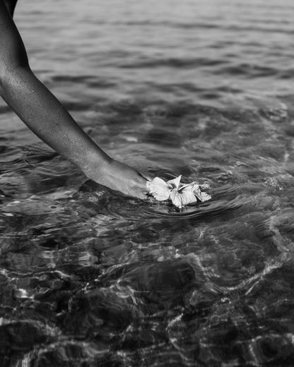 Ocean Flower Touch