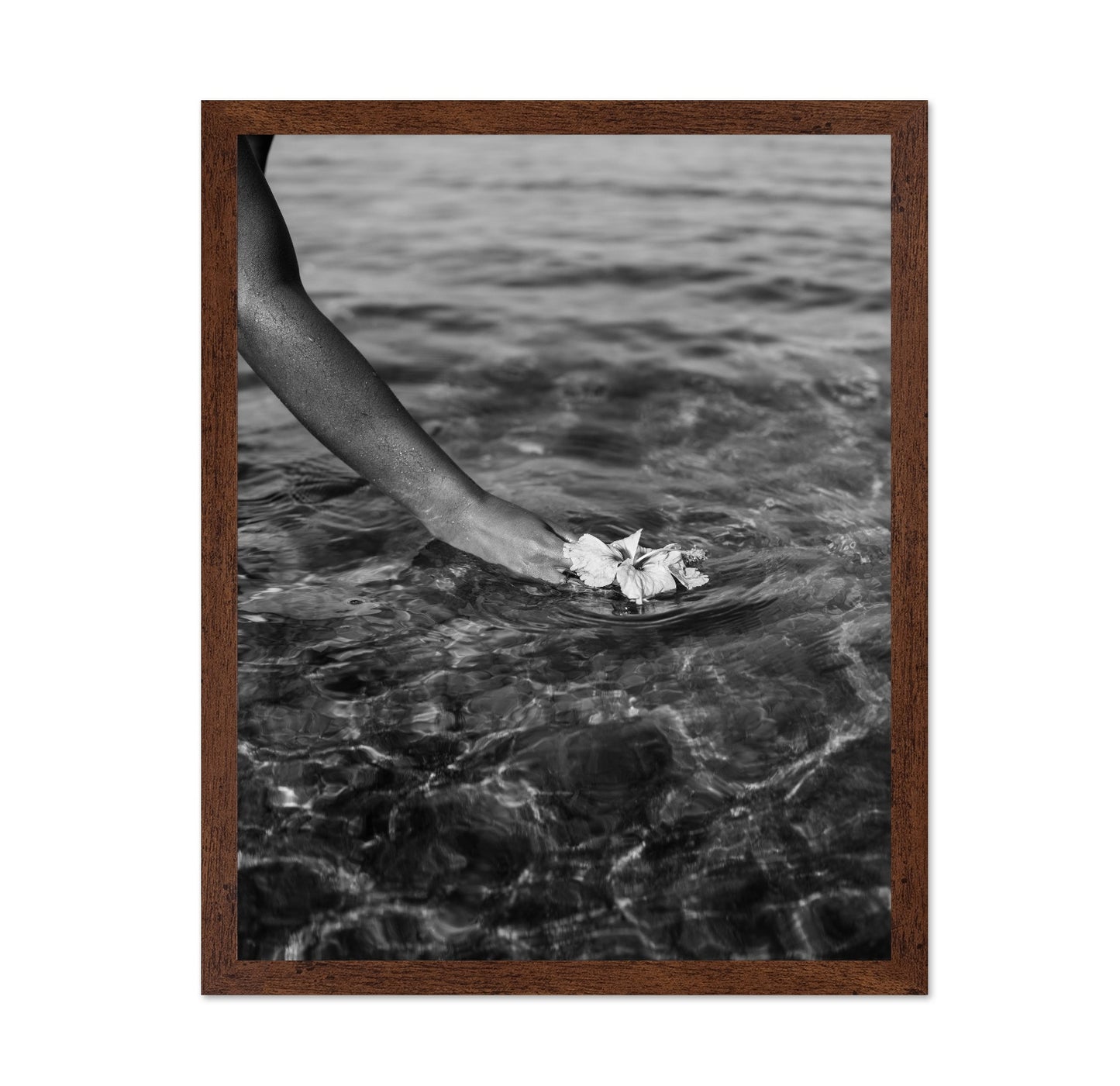 Ocean Flower Touch