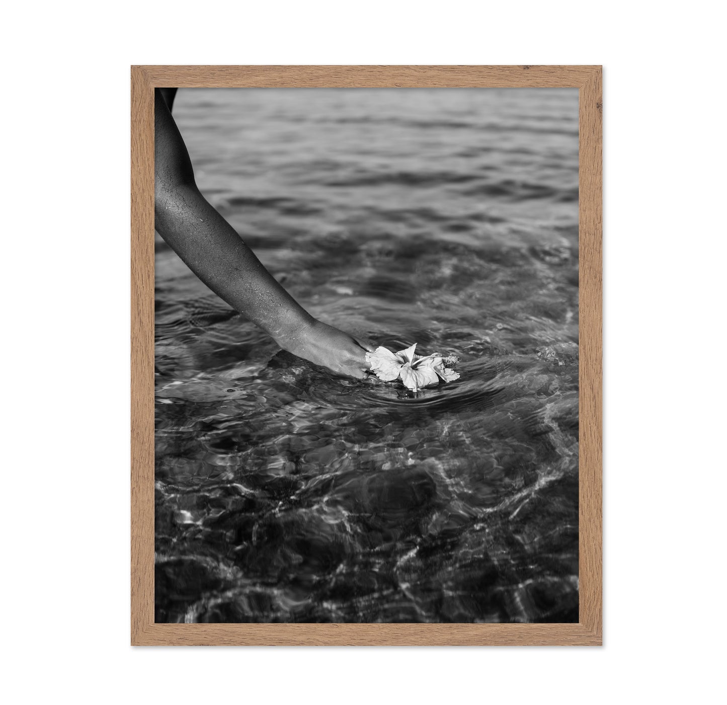 Ocean Flower Touch