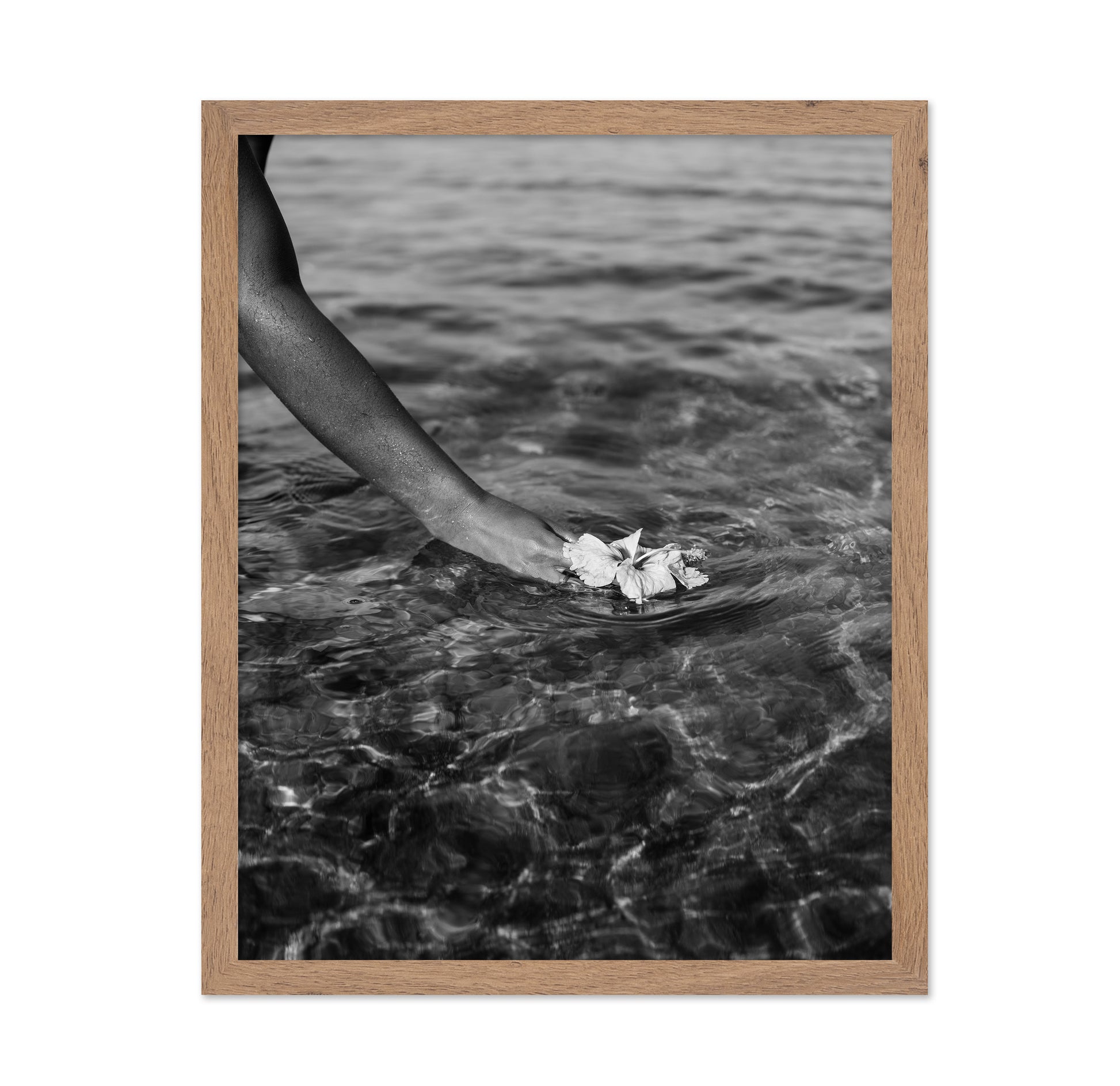 Ocean Flower Touch