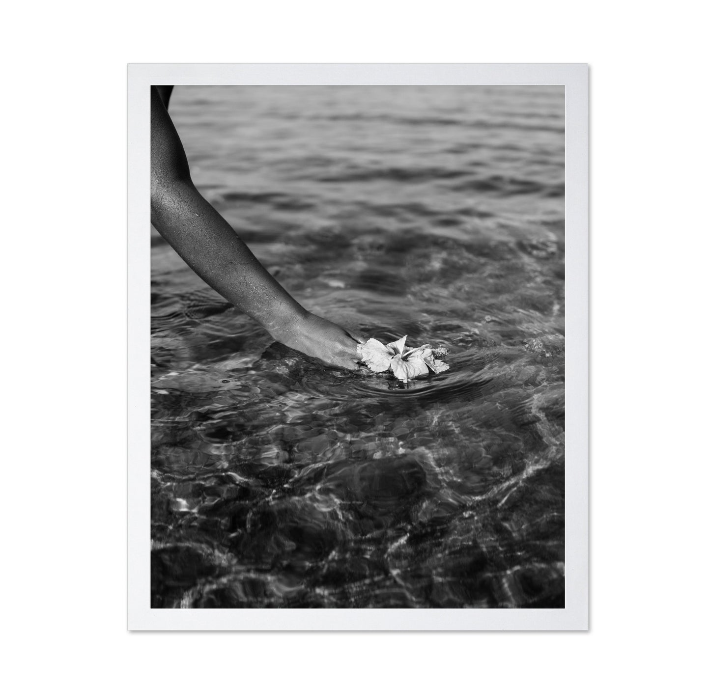 Ocean Flower Touch