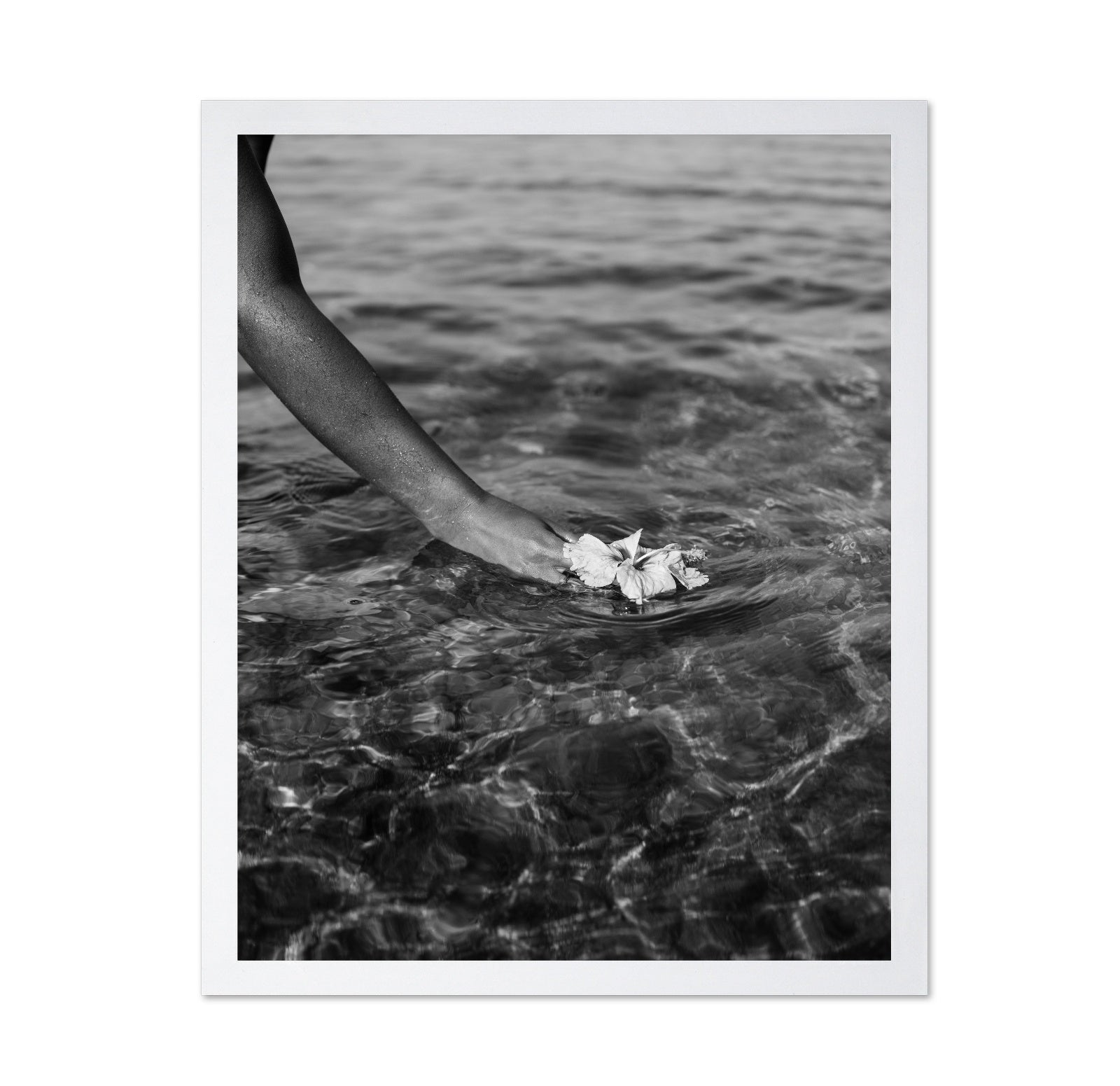 Ocean Flower Touch