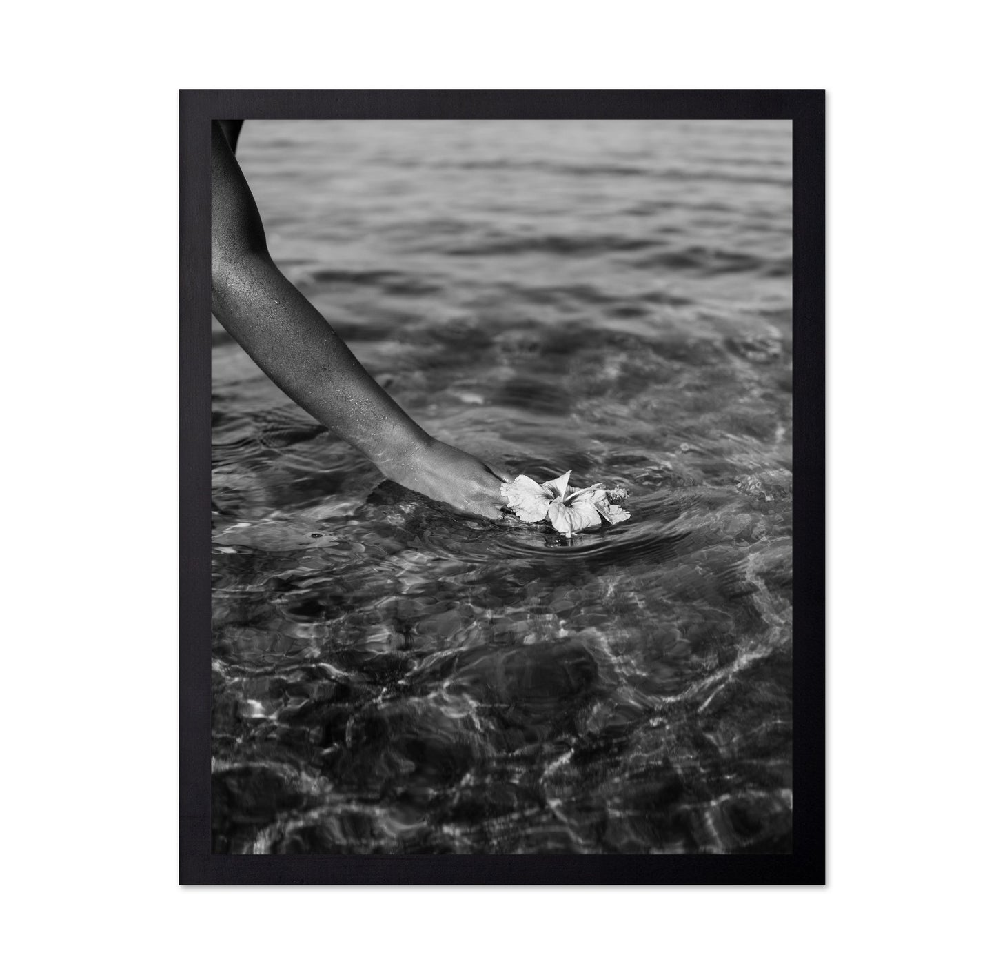 Ocean Flower Touch