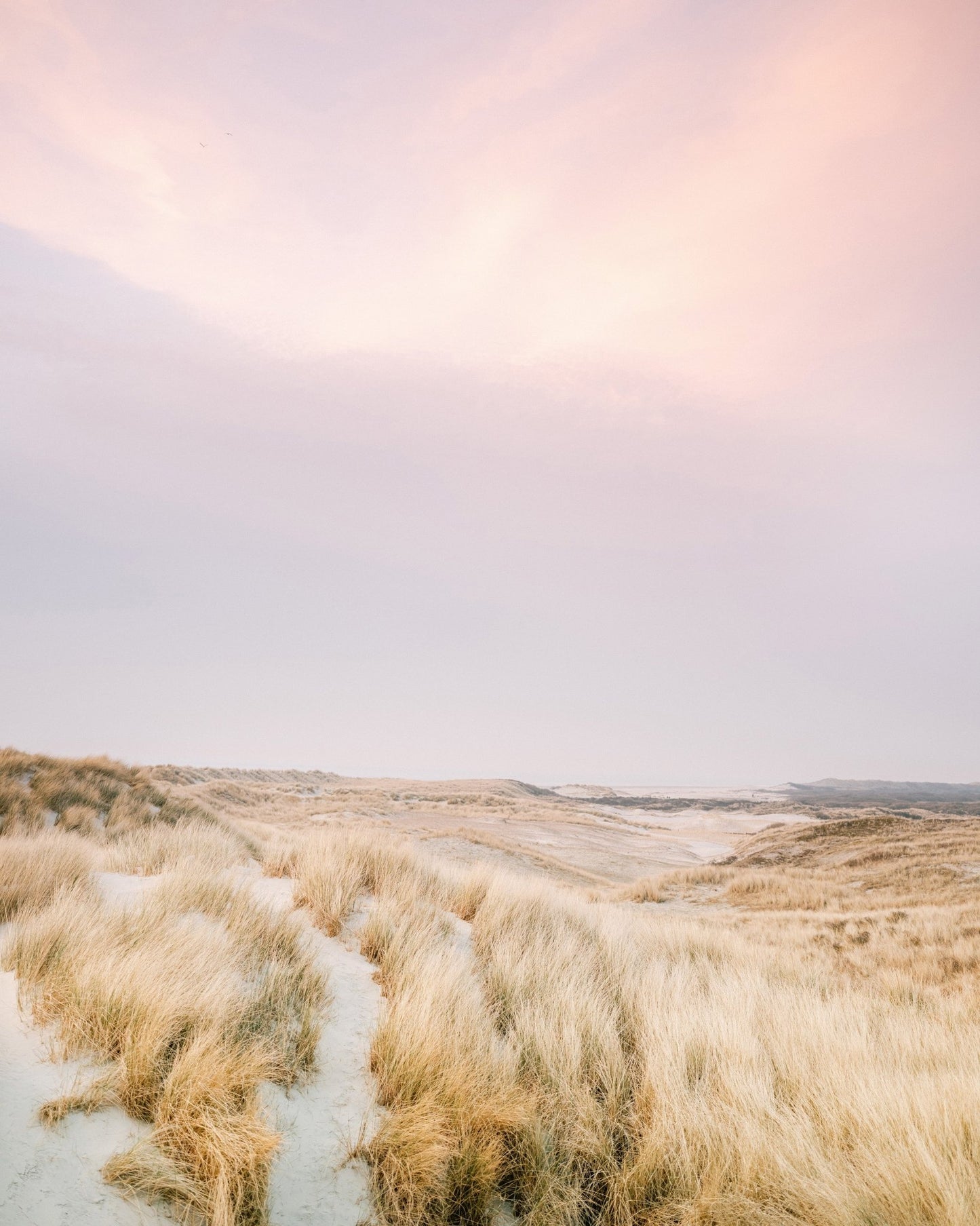 Golden Dune Path