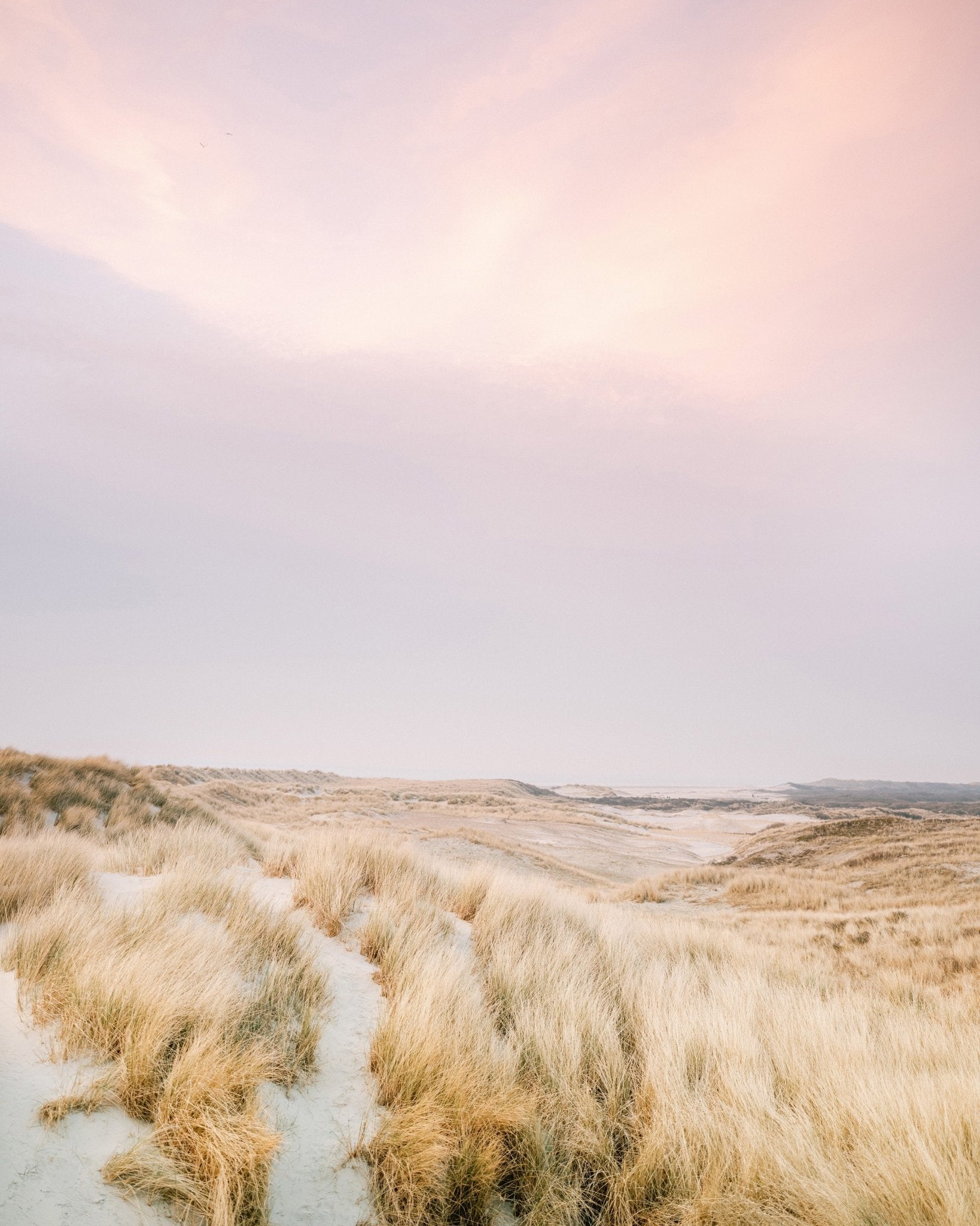 Golden Dune Path
