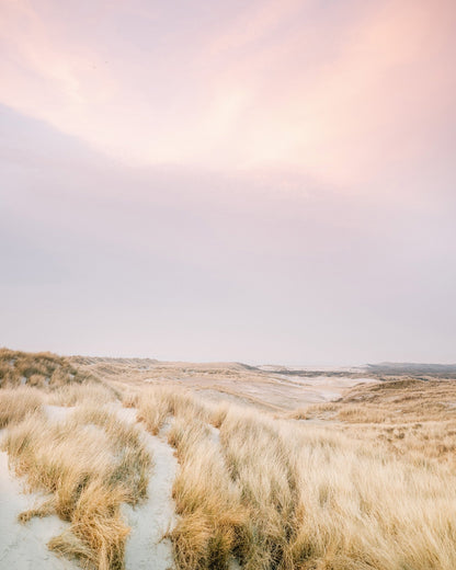 Golden Dune Path