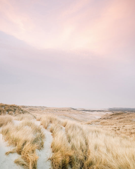 Golden Dune Path