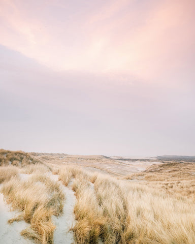 Golden Dune Path