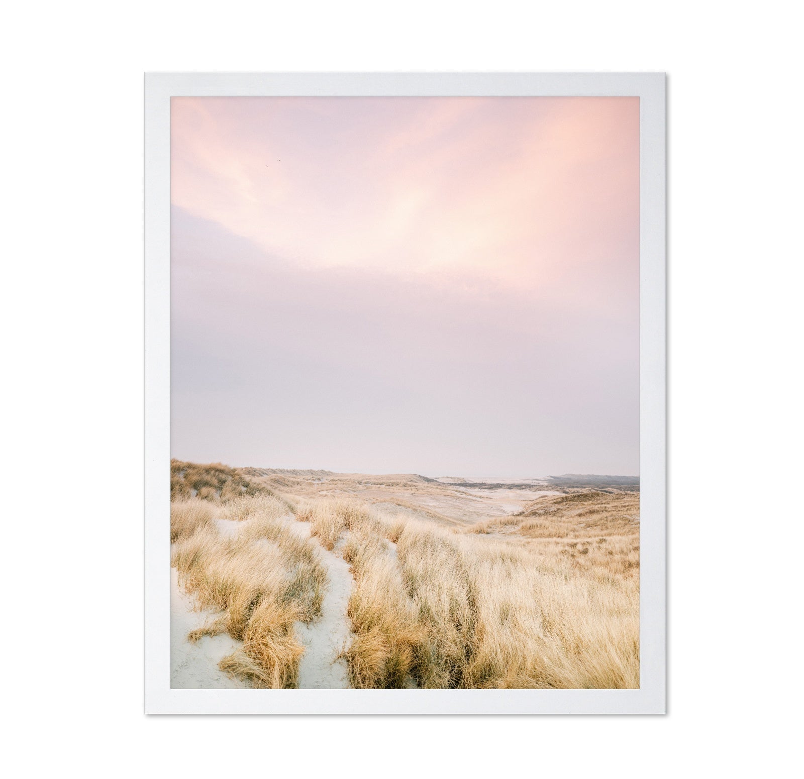 Golden Dune Path