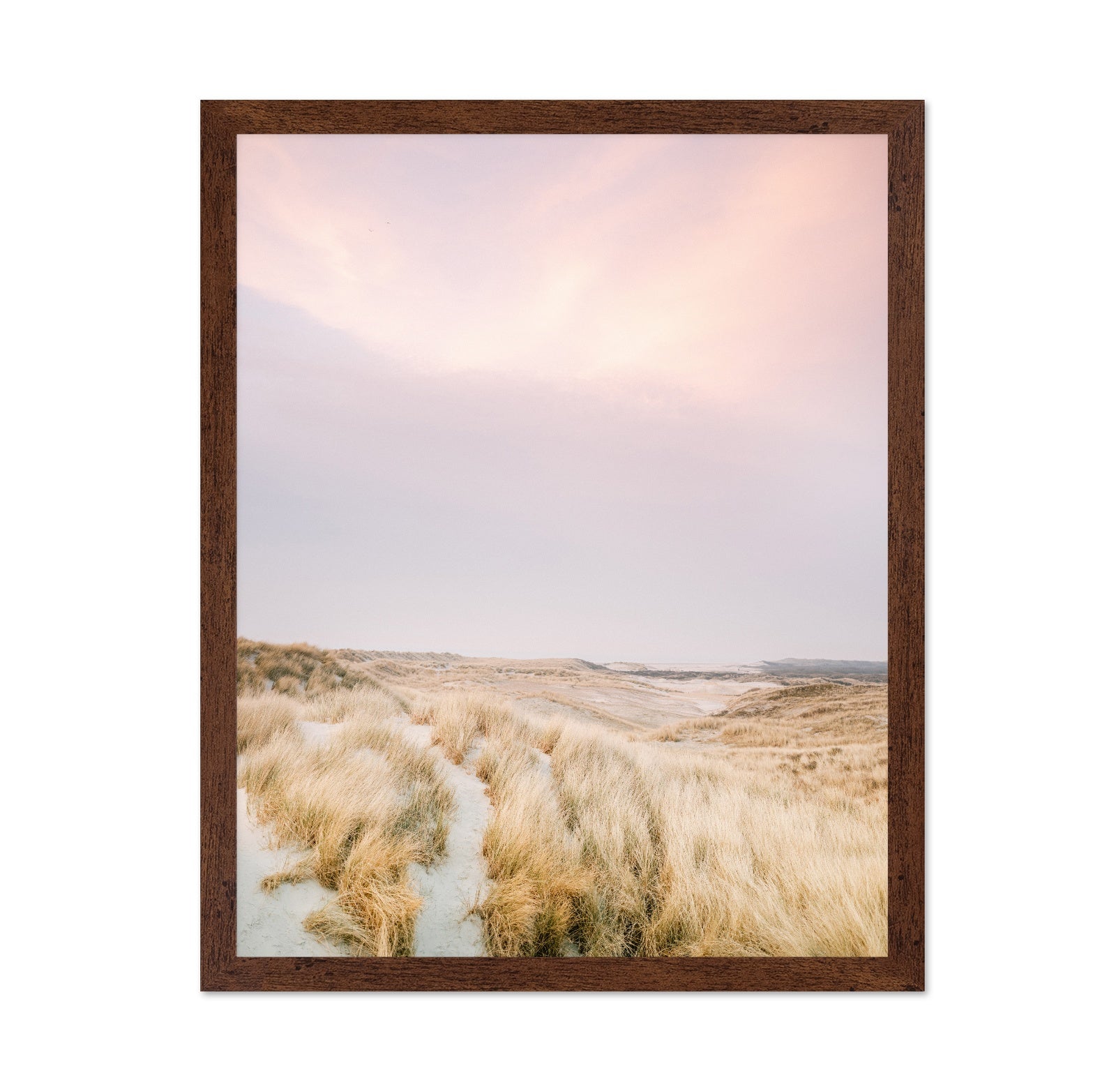Golden Dune Path