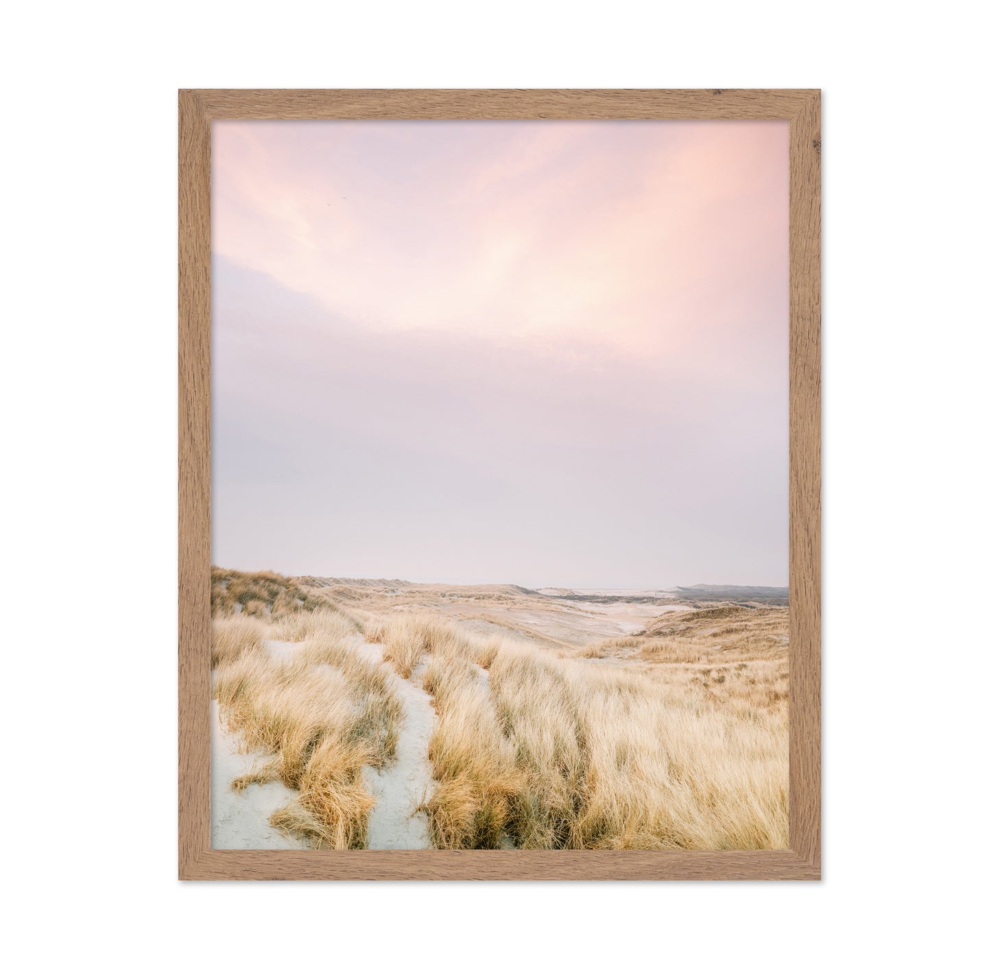 Golden Dune Path