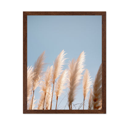 Soft Pampas Sky