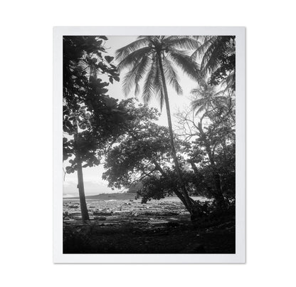 Tropical Palm Shore