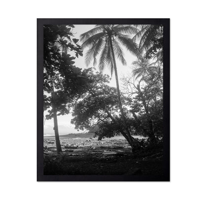 Tropical Palm Shore