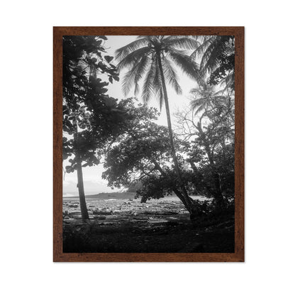 Tropical Palm Shore