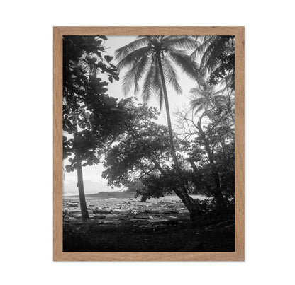 Tropical Palm Shore