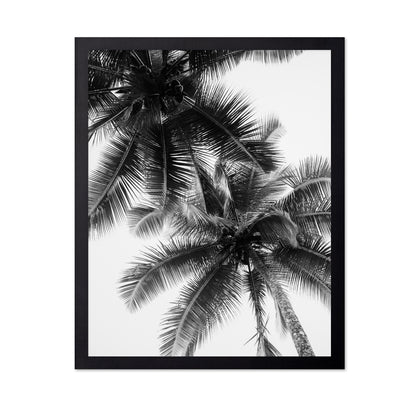 Palm Sky Silhouette No1