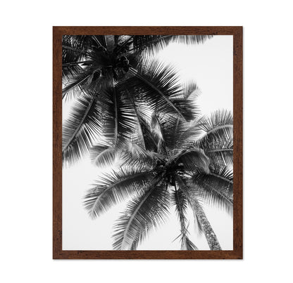 Palm Sky Silhouette No1