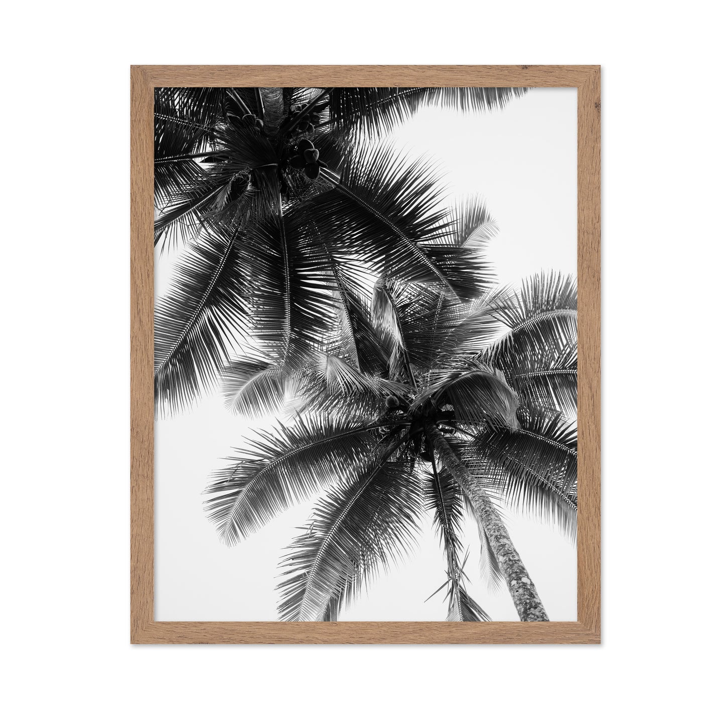 Palm Sky Silhouette No1