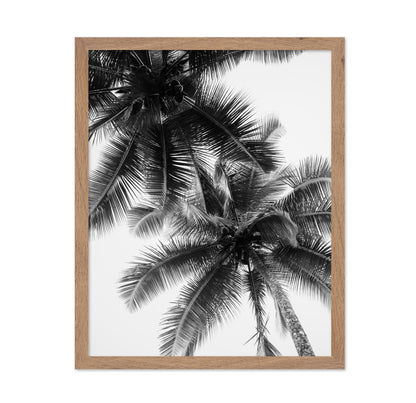 Palm Sky Silhouette No1