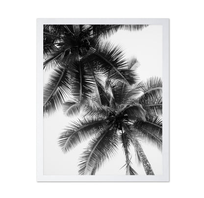 Palm Sky Silhouette No1