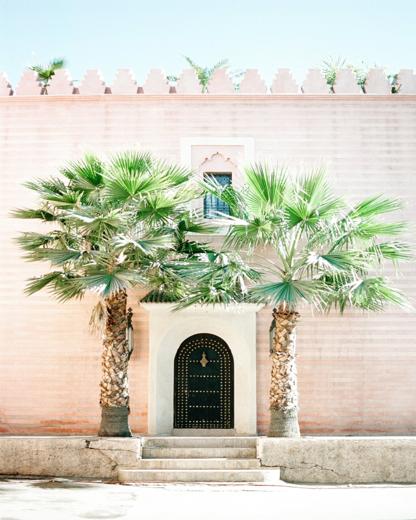 Palm Door Oasis