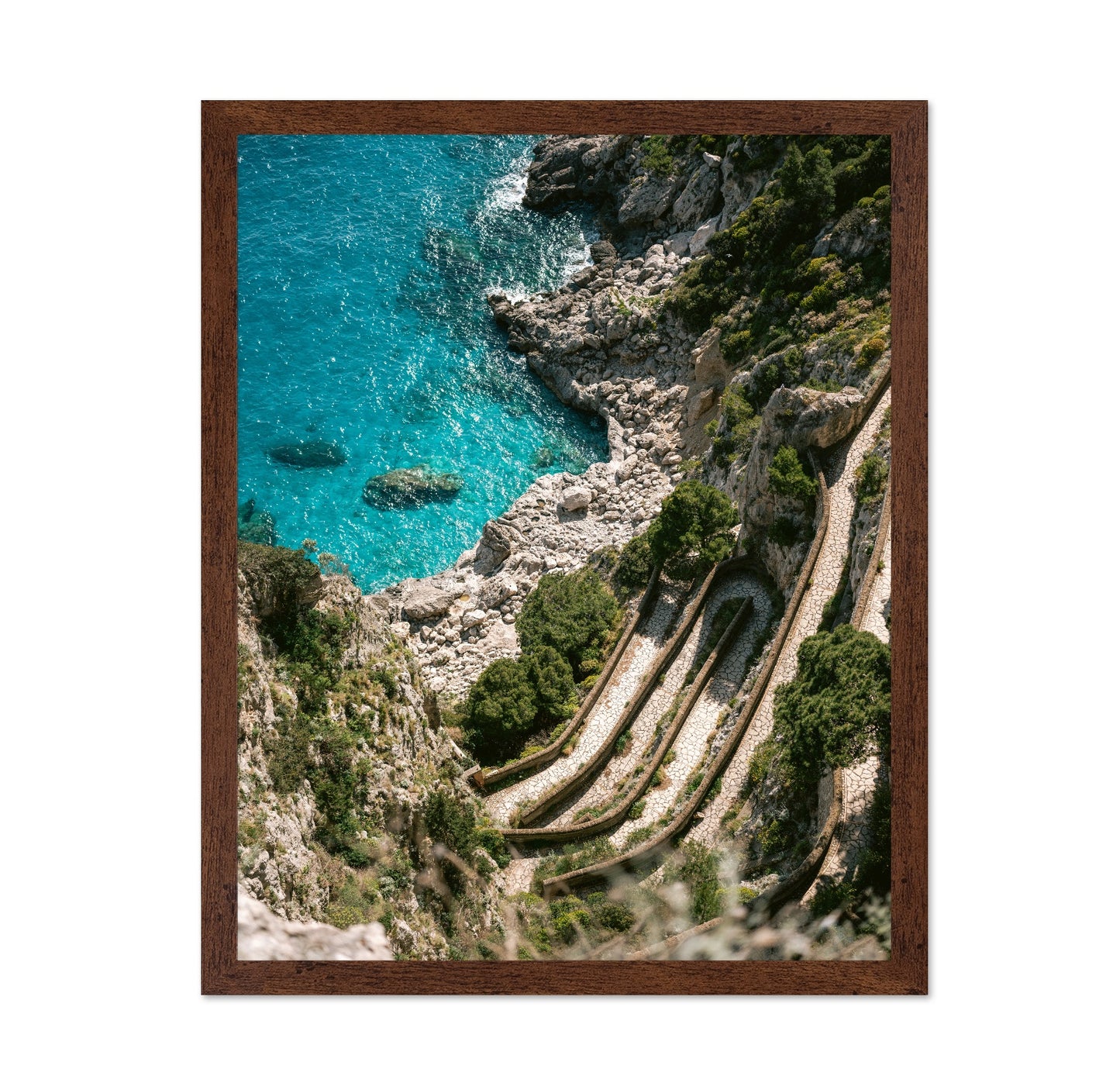 Coastal Cliff Path