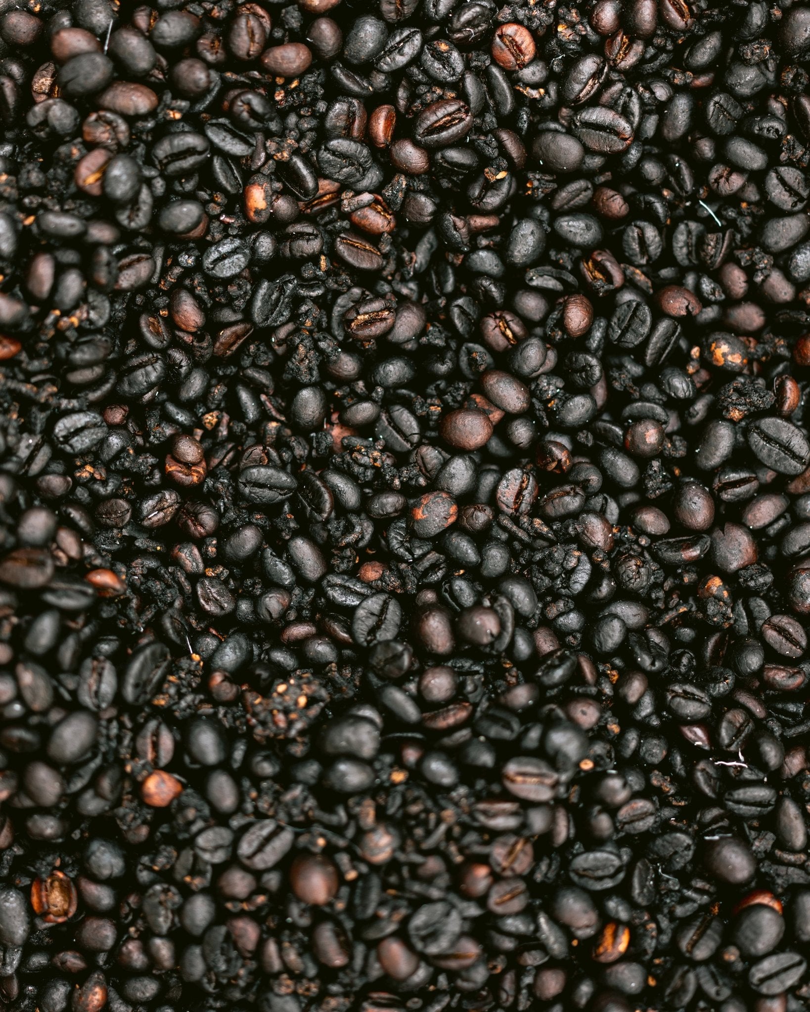 Roasted Coffee Beans