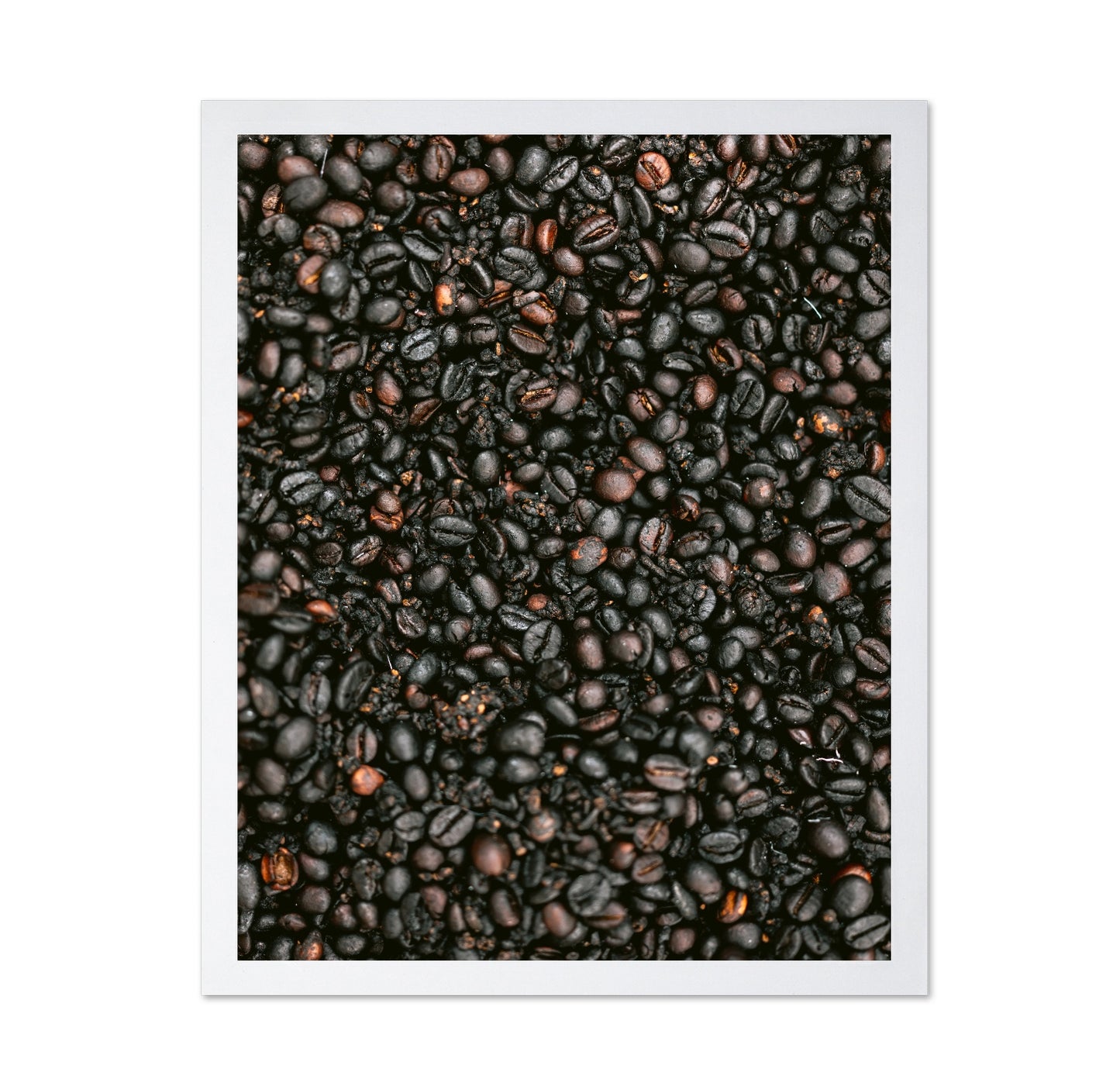 Roasted Coffee Beans