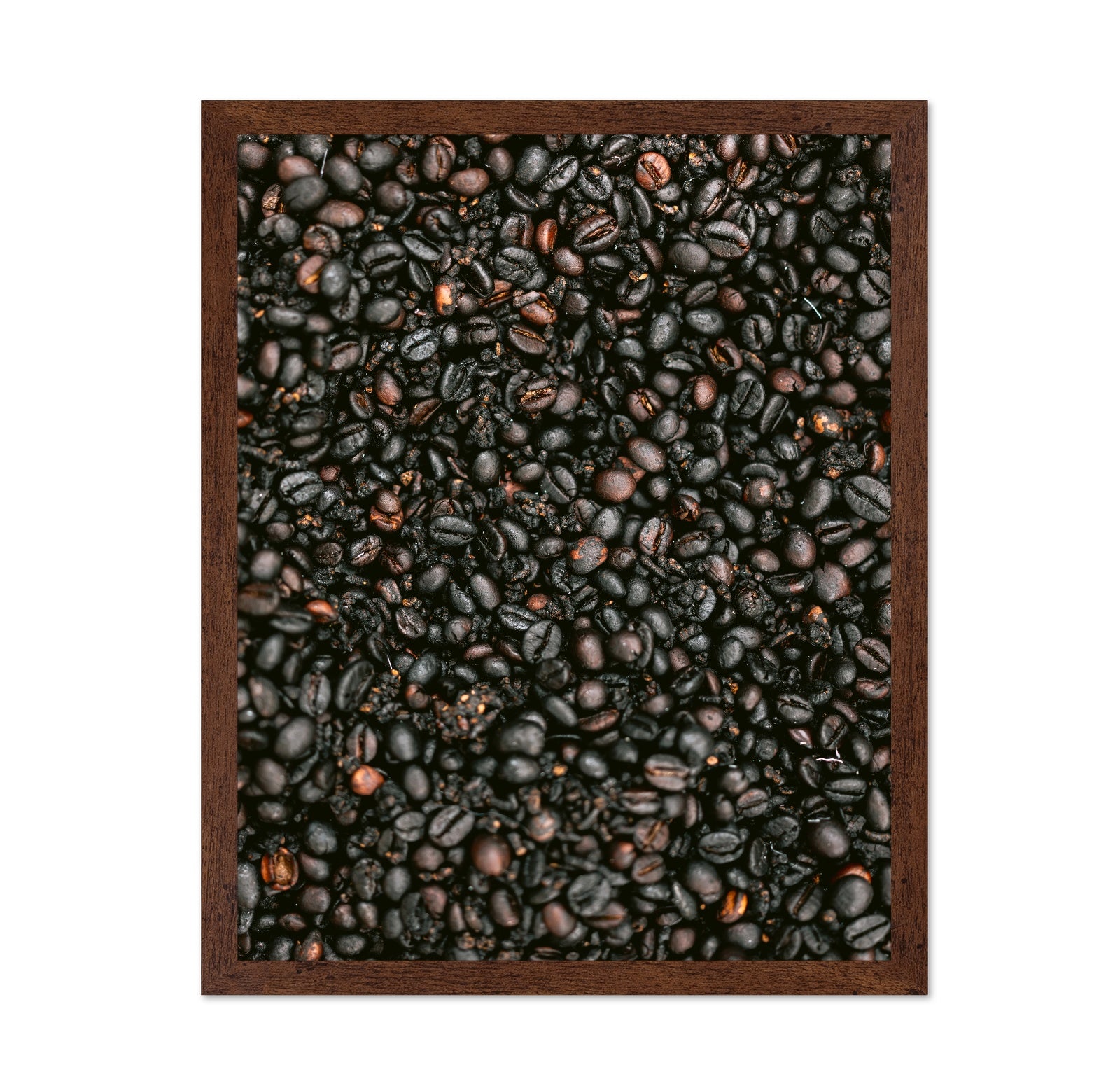 Roasted Coffee Beans