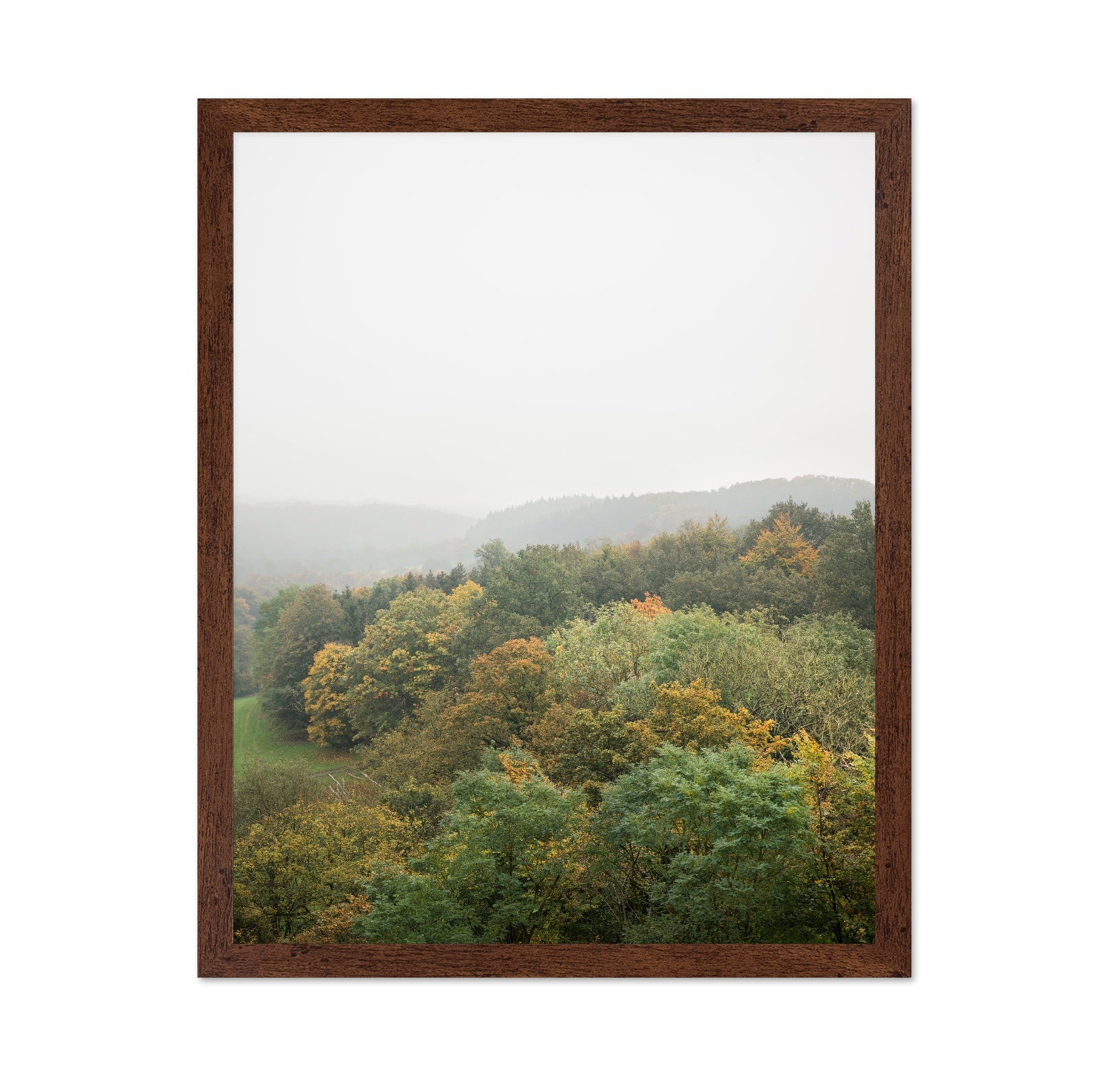 Misty Autumn Forest No2