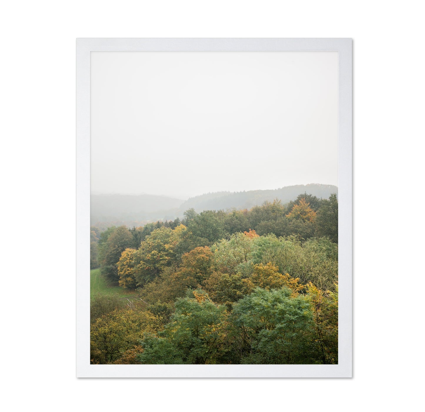 Misty Autumn Forest No2