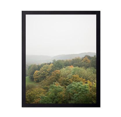 Misty Autumn Forest No2