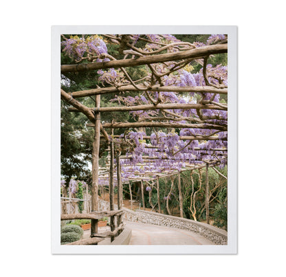 Wisteria Garden Walk