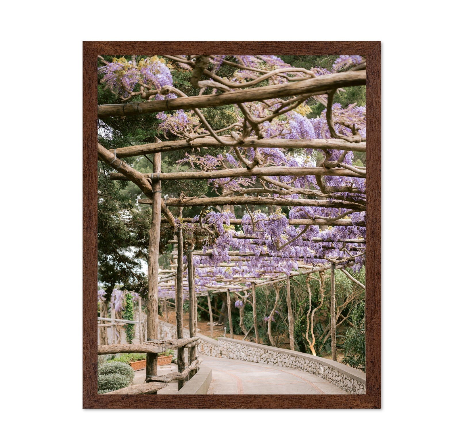 Wisteria Garden Walk