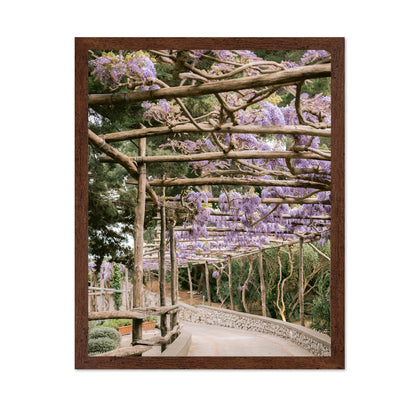 Wisteria Garden Walk