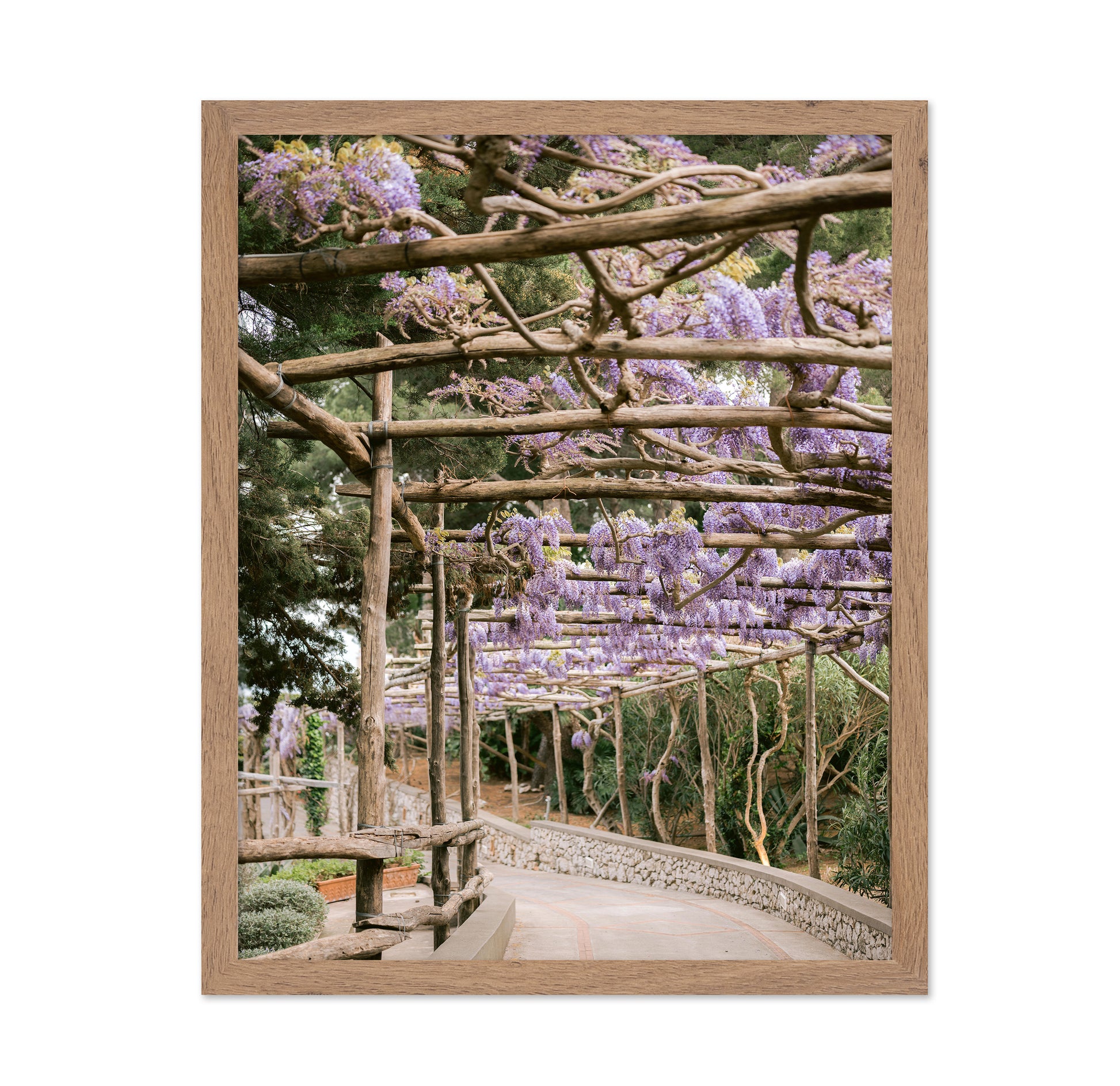 Wisteria Garden Walk