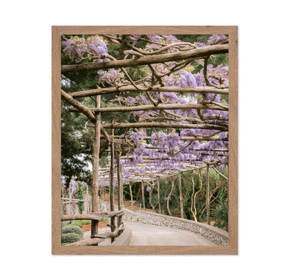 Wisteria Garden Walk