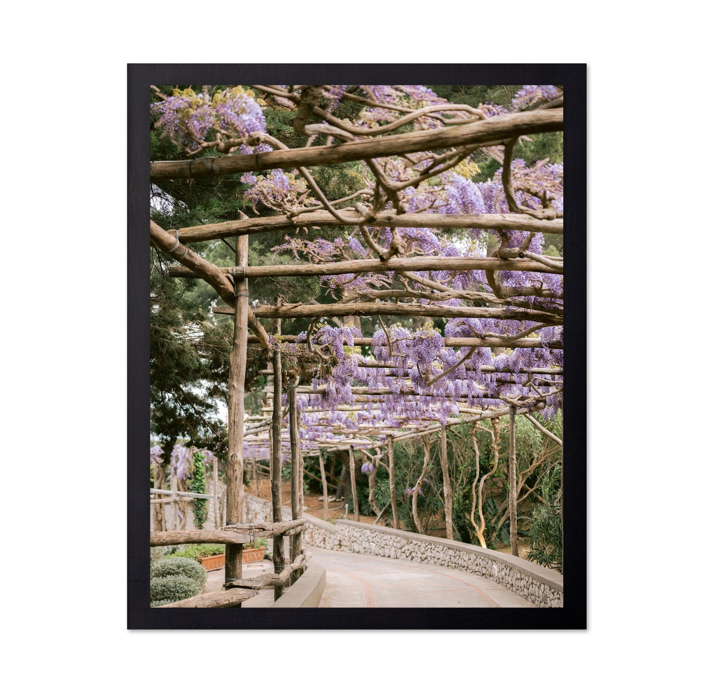 Wisteria Garden Walk