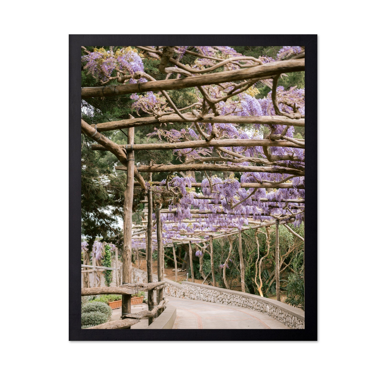 Wisteria Garden Walk