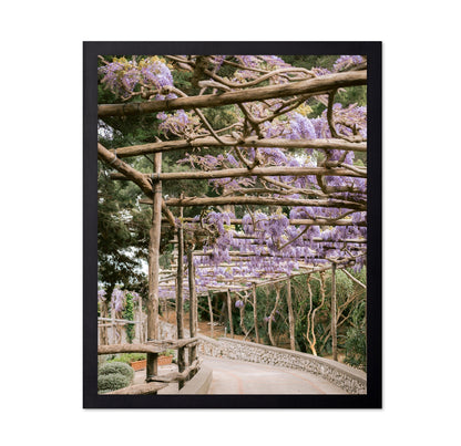 Wisteria Garden Walk