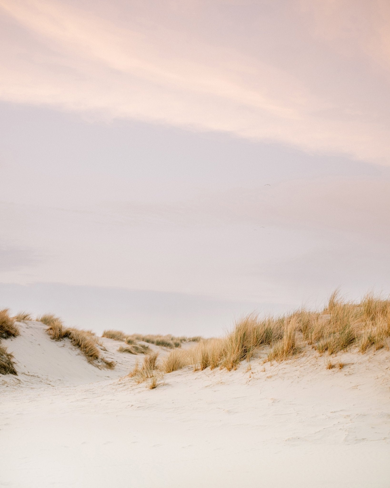 Soft Sand Dunes No2
