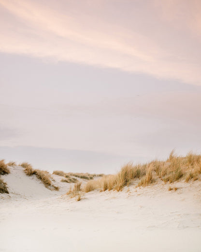 Soft Sand Dunes No2