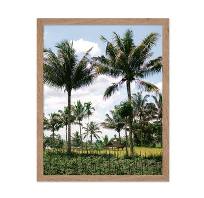 Lombok Palm Grove