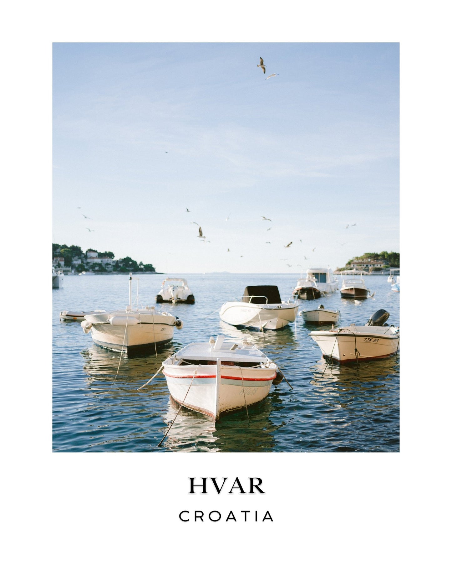 Hvar Harbor Boats